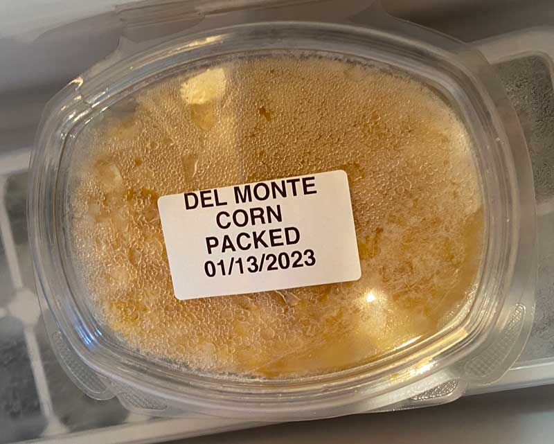 lsc food prep container